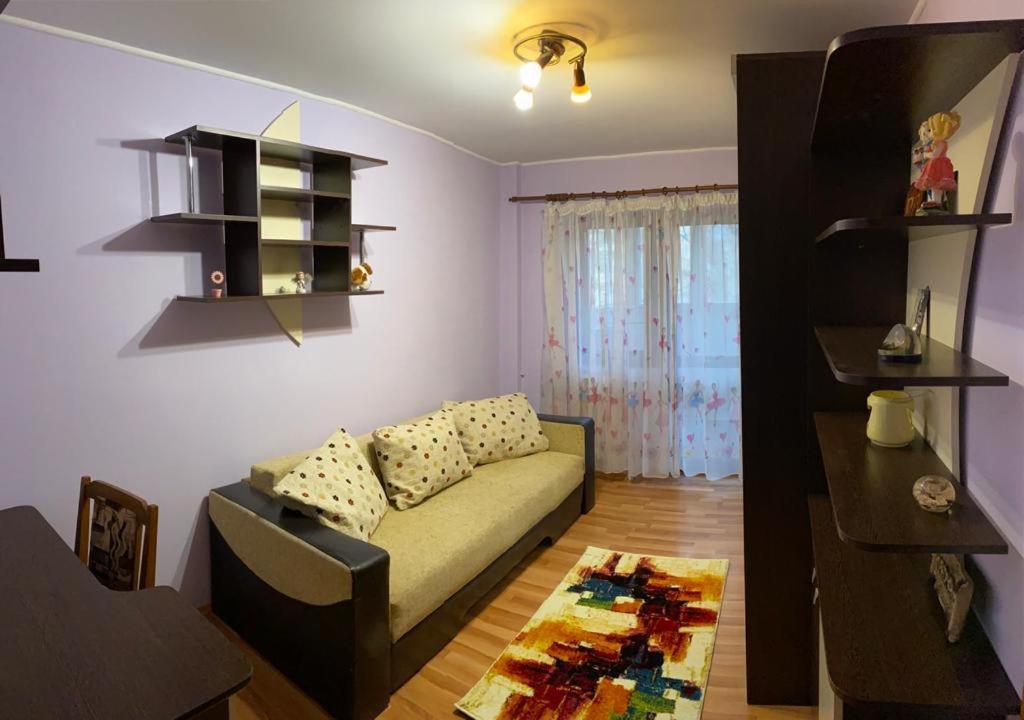 Ferienwohnung Zorilor Suceava Exterior foto